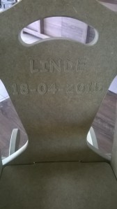 WP_20150705_18_20_21_Pro