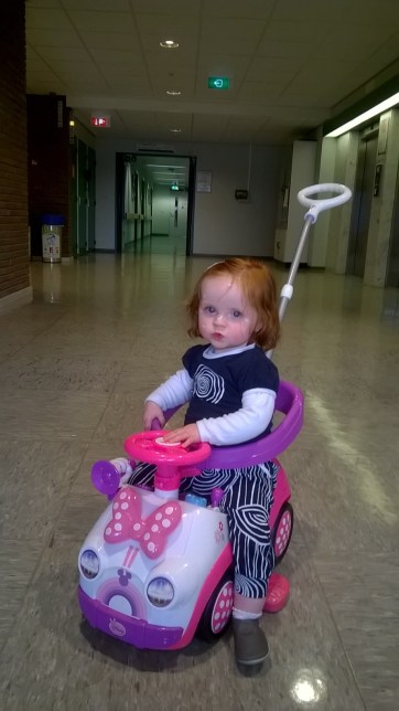 WP_20160518_19_49_21_Pro